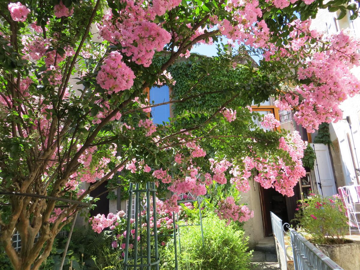 La Mirandole Bed and Breakfast Foix Eksteriør billede